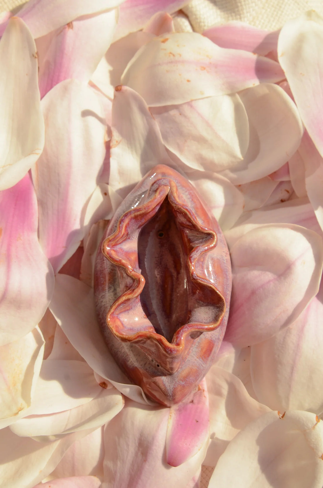 Karamics X Minced Milk