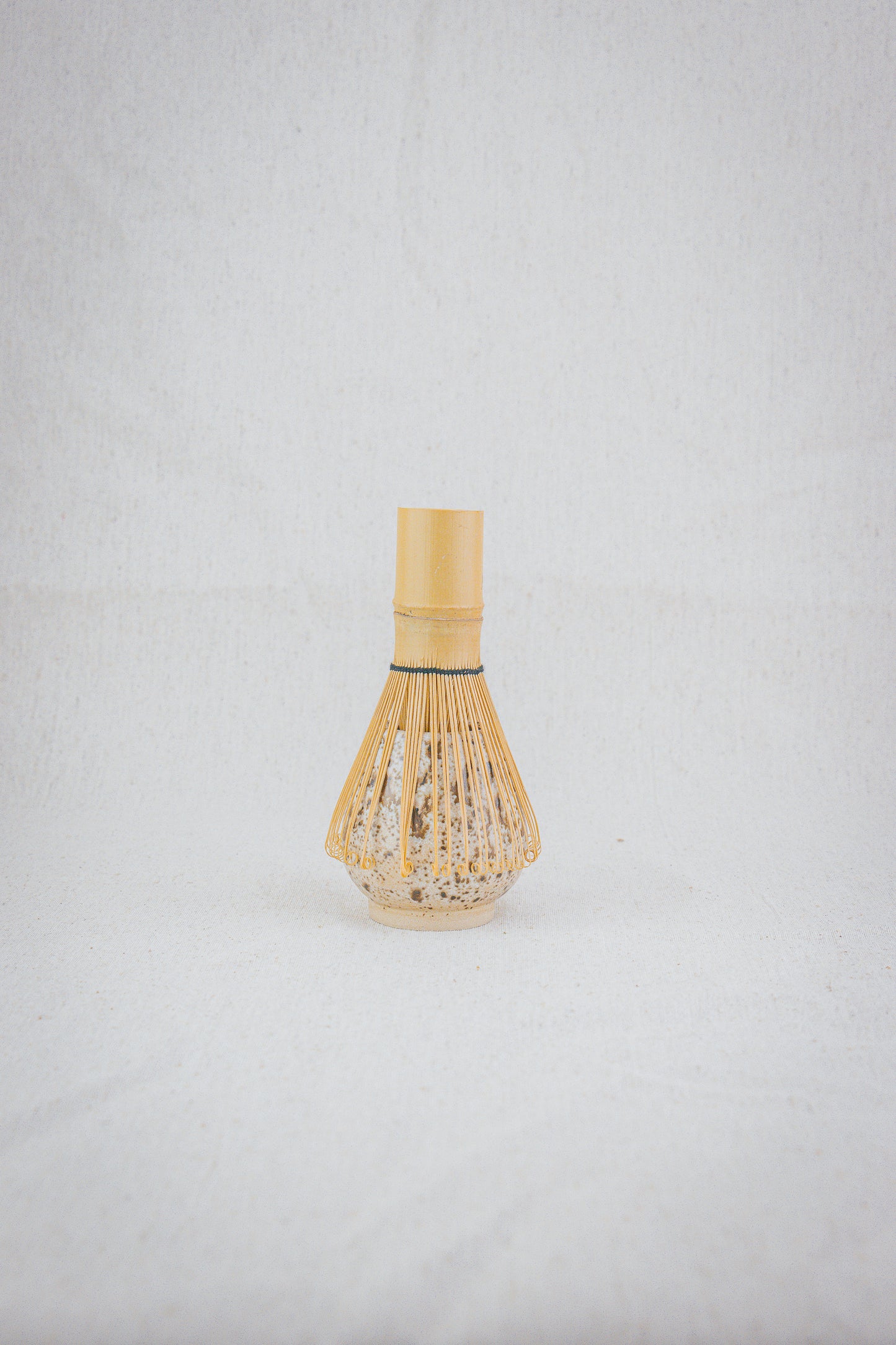 Whisk holder spotted