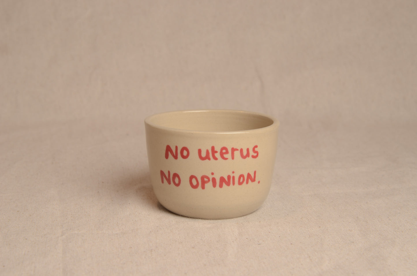 No uterus no opinion