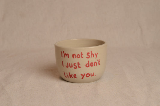 I don't like you